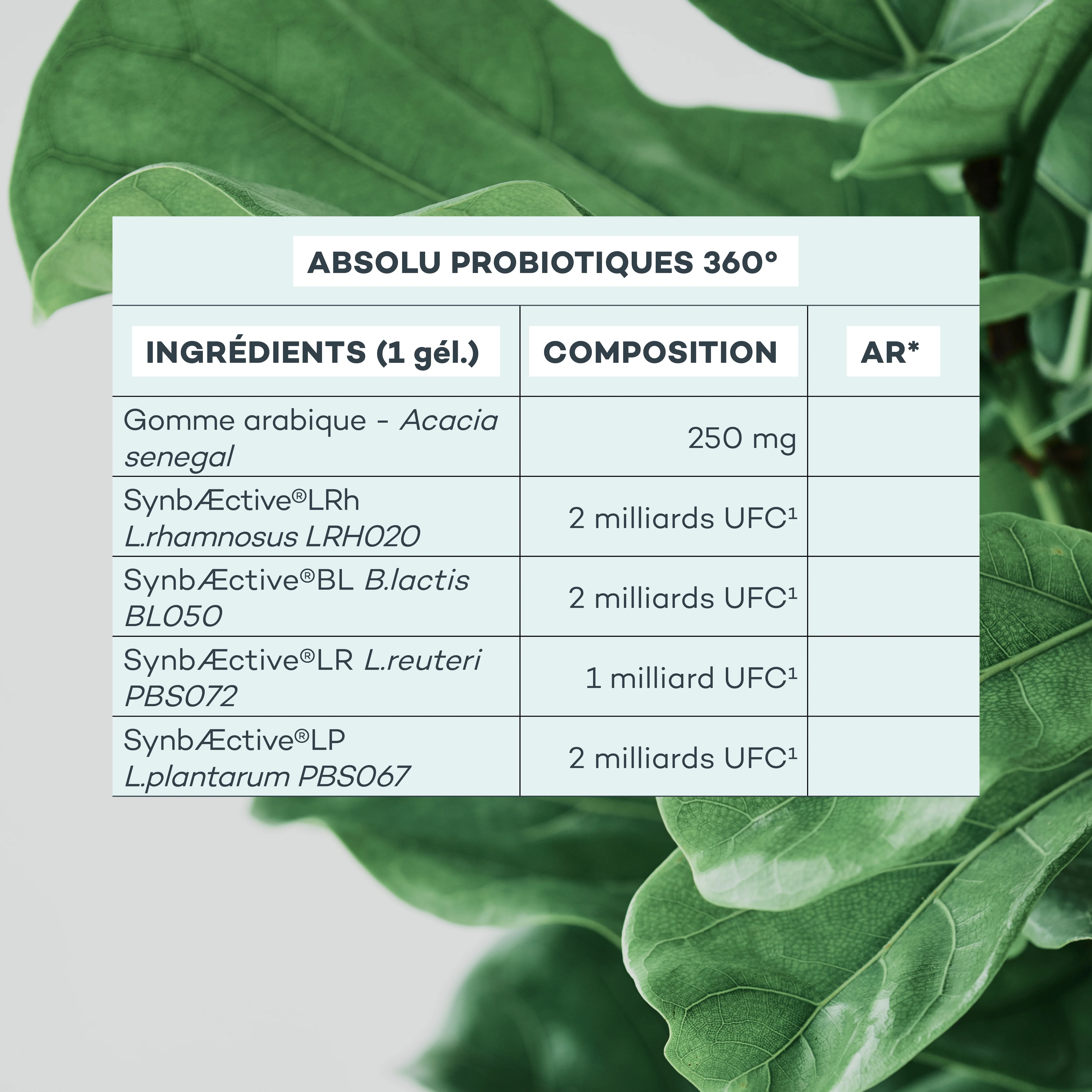 Image du produit 5